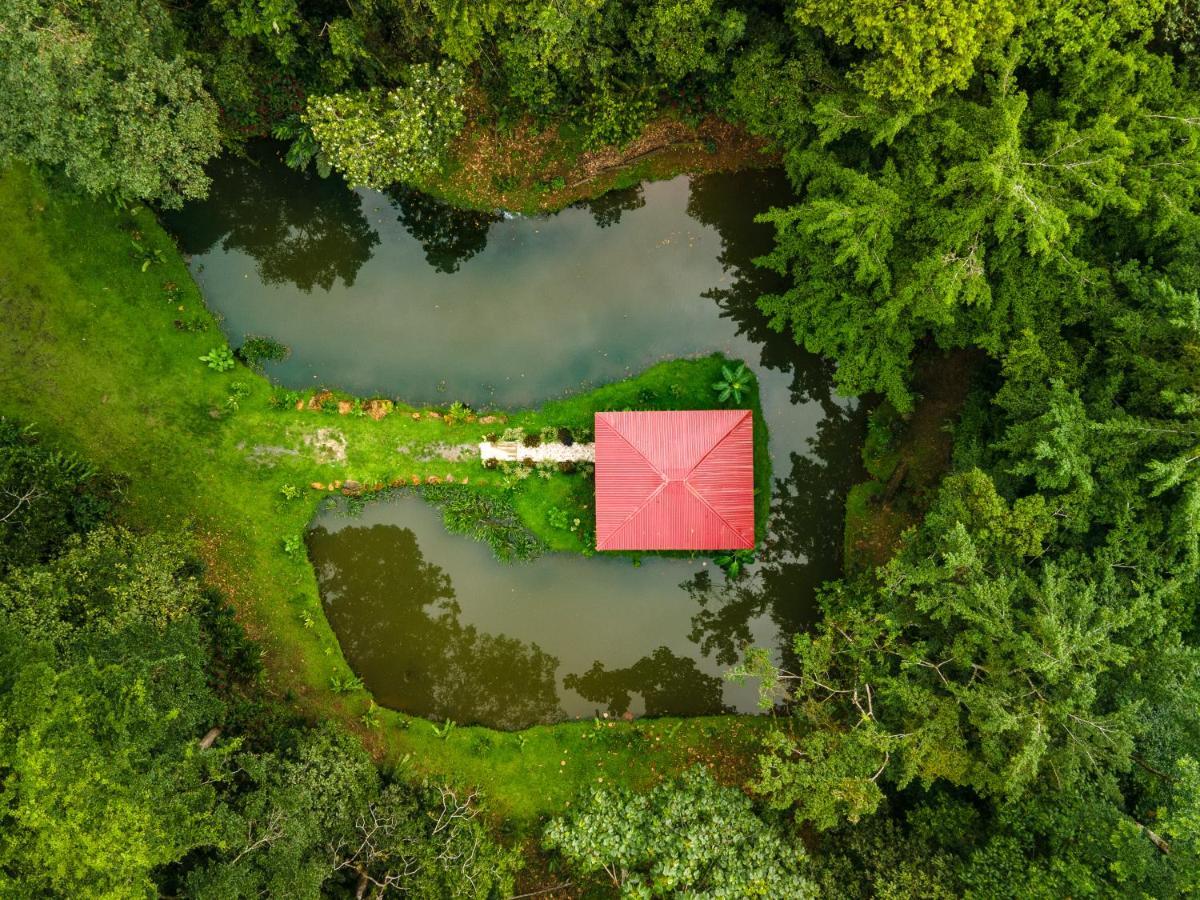 Ara Ambigua Lodge Sarapiquí المظهر الخارجي الصورة