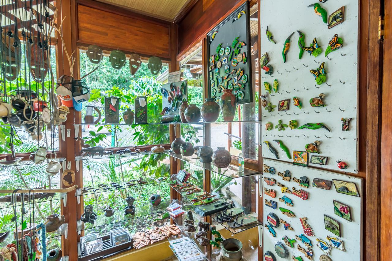 Ara Ambigua Lodge Sarapiquí المظهر الخارجي الصورة