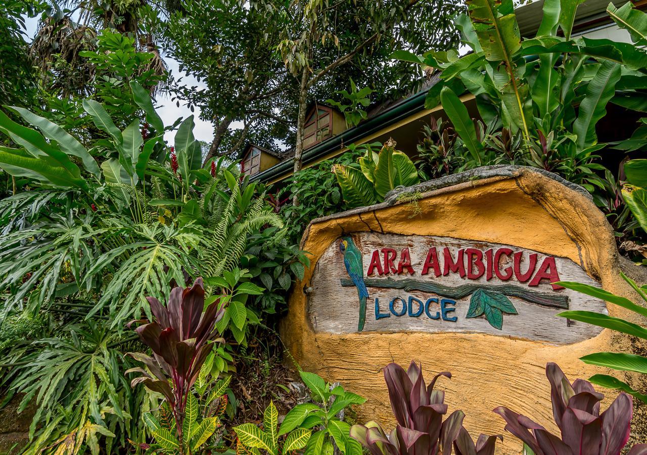 Ara Ambigua Lodge Sarapiquí المظهر الخارجي الصورة